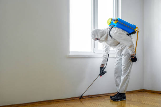 Reliable Portland, TN Pest Control Solutions