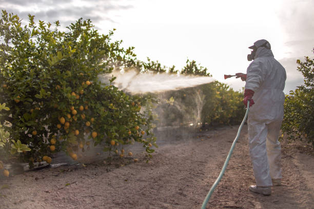 Pest Control Cost in Portland, TN