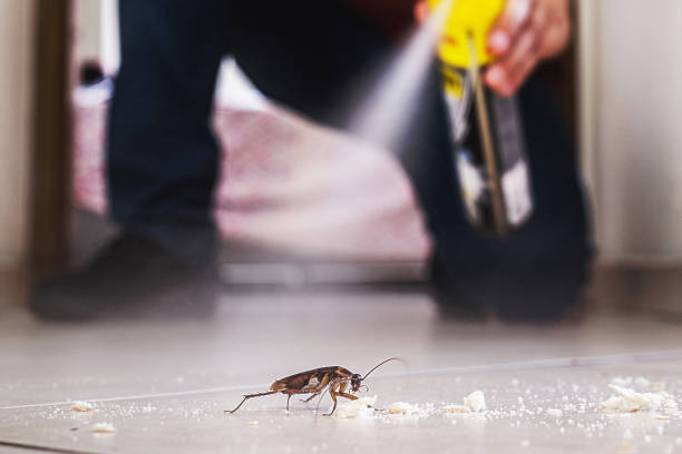 Best Exterminator Services  in Portland, TN