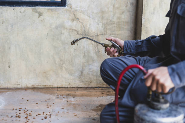 Best Termite Control Services  in Portland, TN